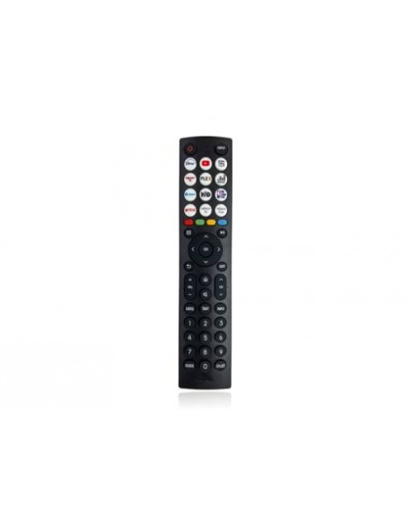 Pilot TV LCD Hisense ERF2J36H NETFLIX,YOUTUBE, Disney+, Rakuten