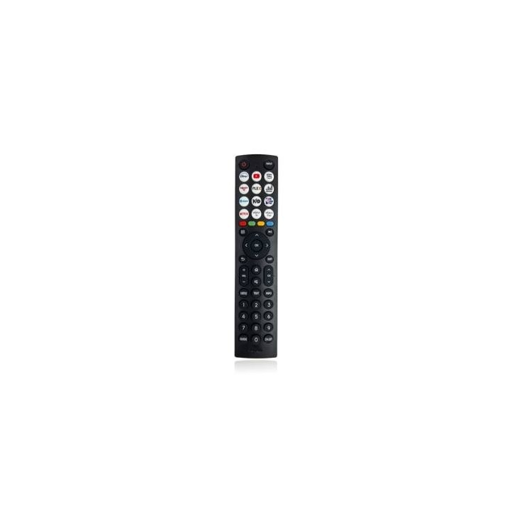 Pilot TV LCD Hisense ERF2J36H NETFLIX,YOUTUBE, Disney+, Rakuten