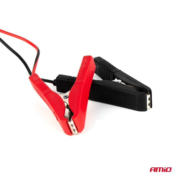 Prostownik AMiO ze wskazówką (bezp.) 6A, 12V SBC-6A