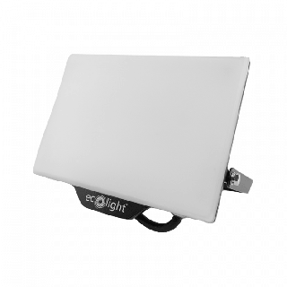 Naświetlacz NL-2 50W 6500K