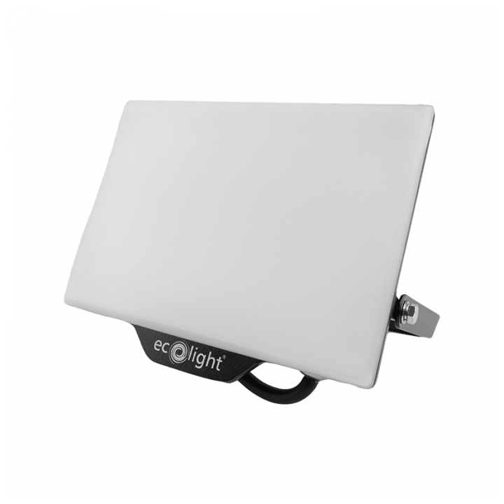 Naświetlacz NL-2 50W 6500K