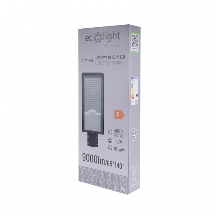 LAMPA ULICZNA ECONOMY 100W 9000lm 5000K