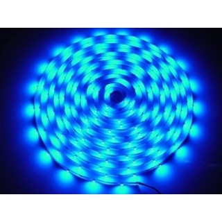Taśma LED 3528 niebieska 5m/300diod IP65 L