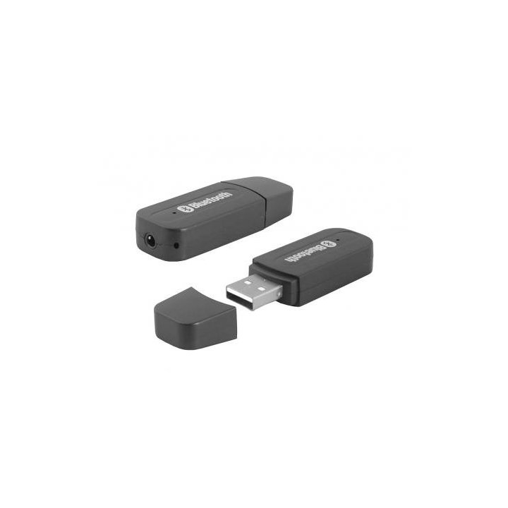 Odbiornik audio BLUETOOTH USB BT100