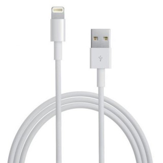 Kabel USB iPhone MD818ZM/A 1m biały bulk