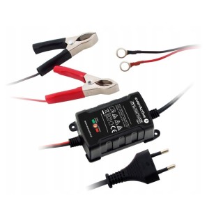 Ładowarka everActive CBC-1 do akumulatorów 6V/12V